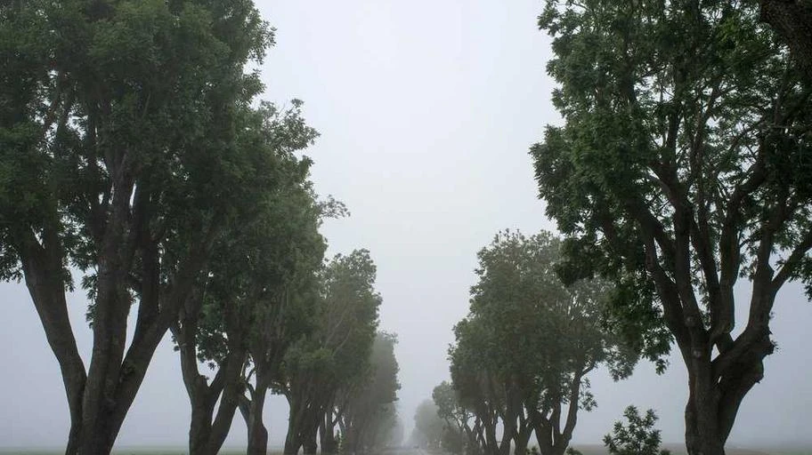 phong-thuy-ve-phong-ngu-bi-quyet-don-tai-loc