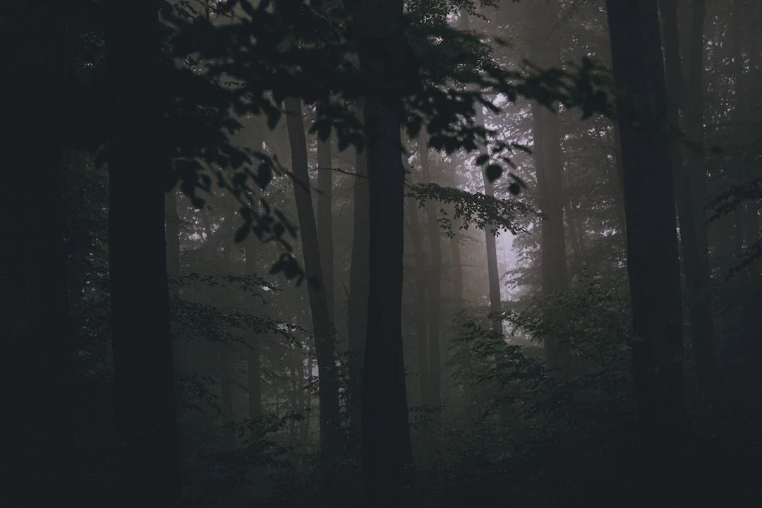 diem-go-2-goc-nhin-cua-chuyen-gia-ve-tam-linh